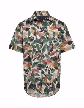 TR REG.FIT S/S SHIRT
